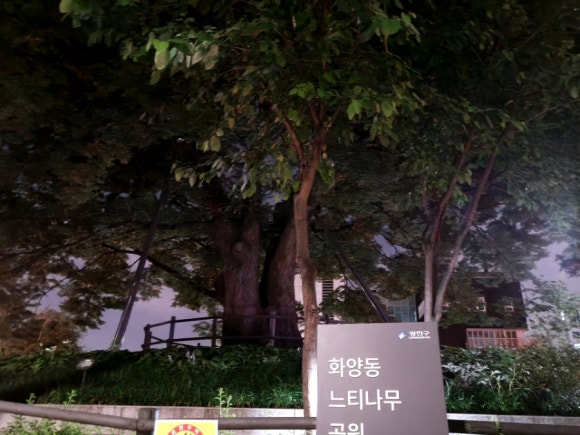 화양정 이미지