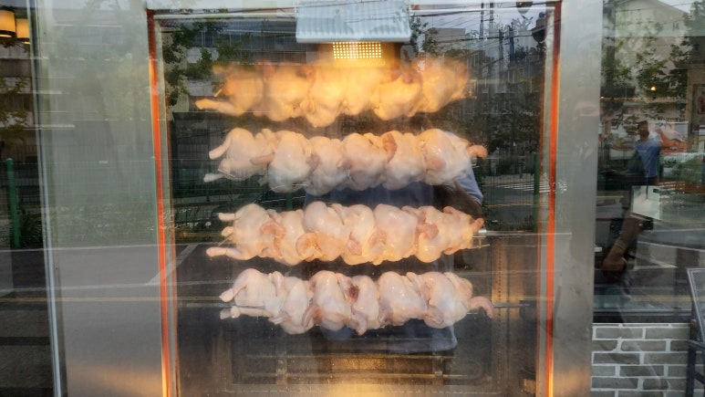 영양센타 이미지