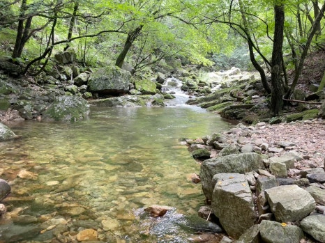 석산상회 이미지
