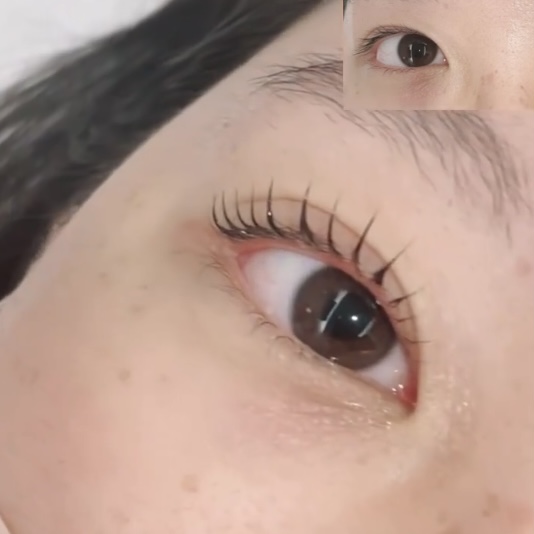 벨라제이 속눈썹 이미지