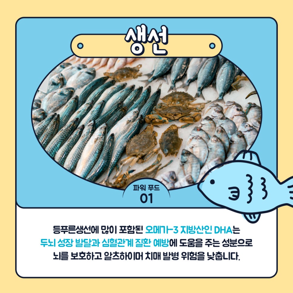 두뇌스포츠센터 이미지