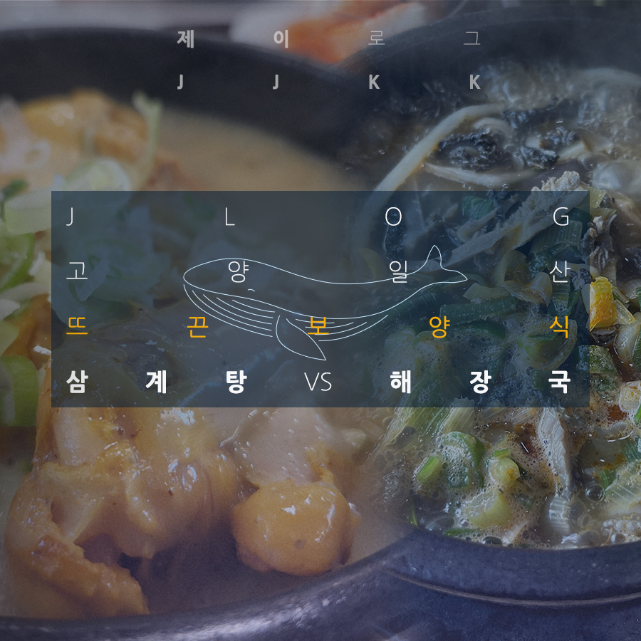 백세투어 이미지
