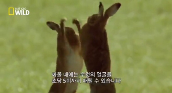 돼지치마집 이미지