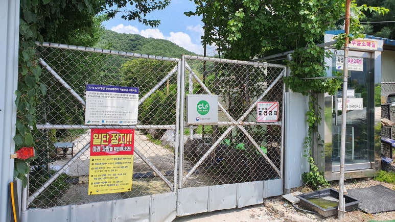 블루오션코리아 이미지