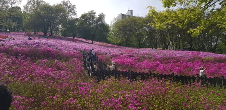김승주해물칼국수 이미지