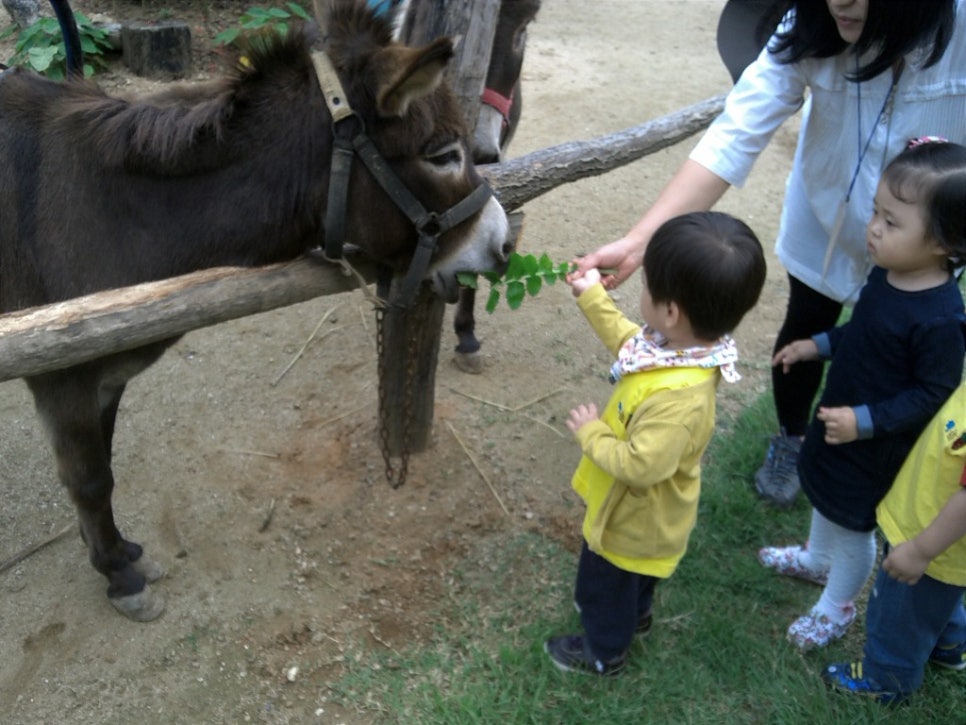 마차박물관 이미지