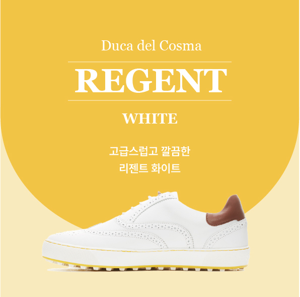 빈폴골프롯데 이미지