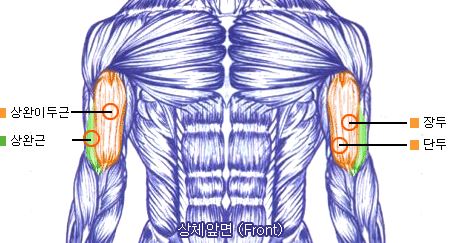 세븐짐마두 이미지