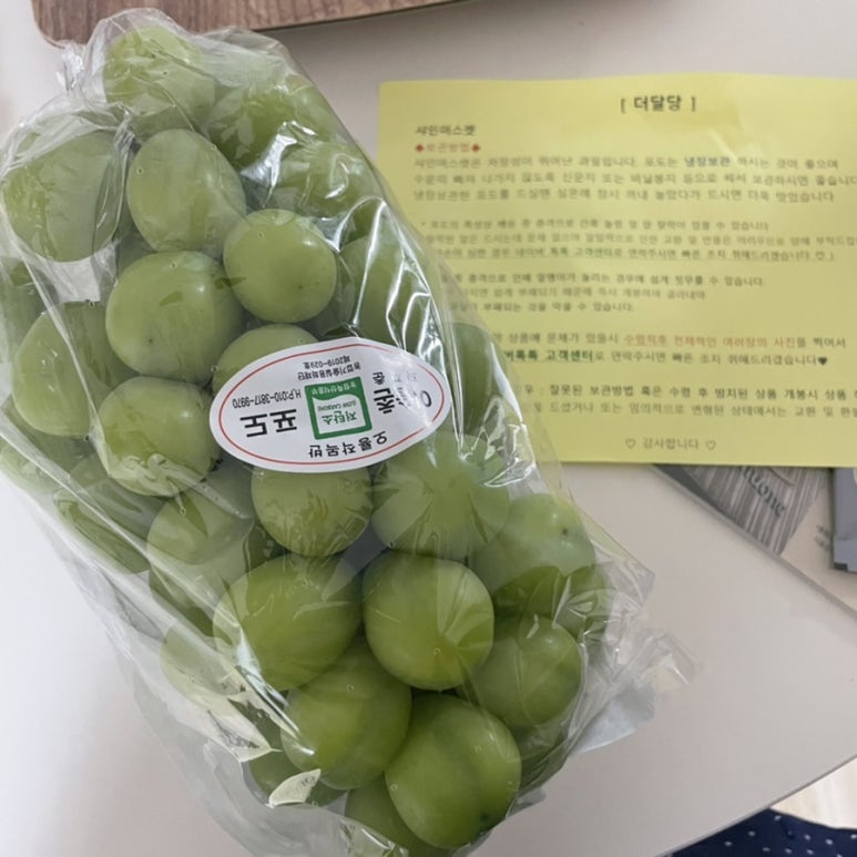 더달당 이미지