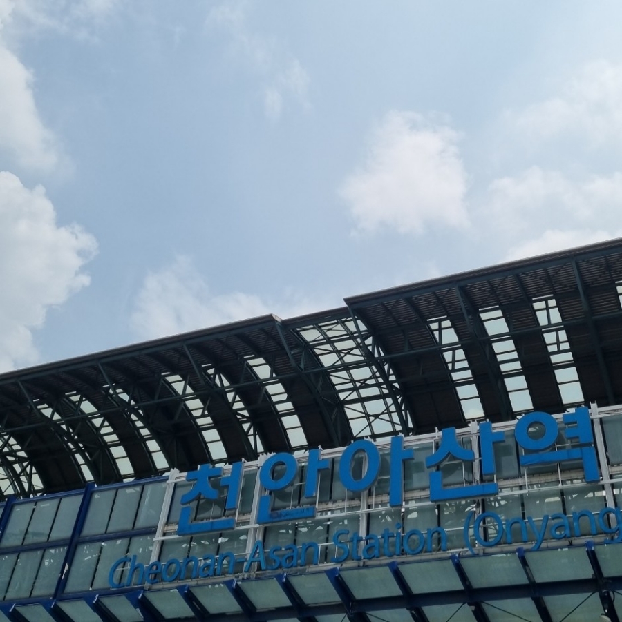 트리핀(Tripin) 이미지
