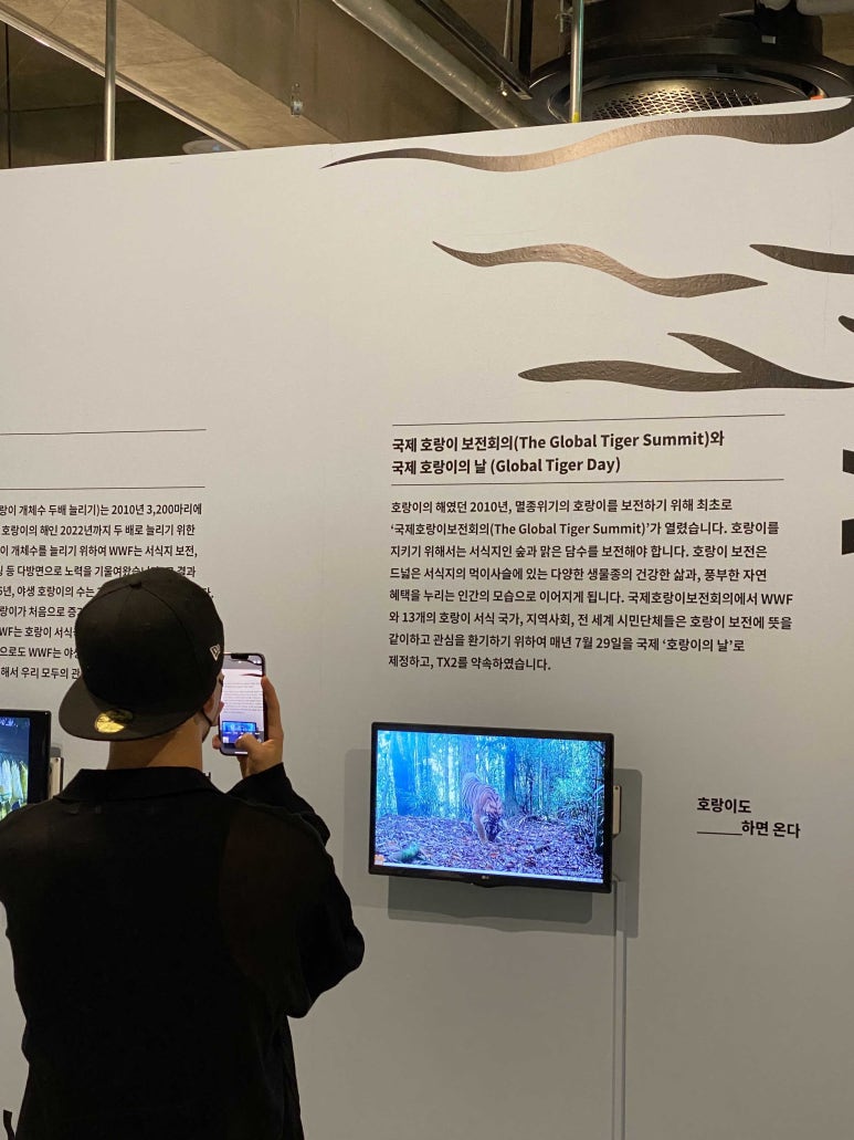 스튜디오호랑이 이미지