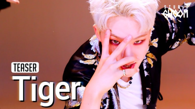 스튜디오호랑이 이미지