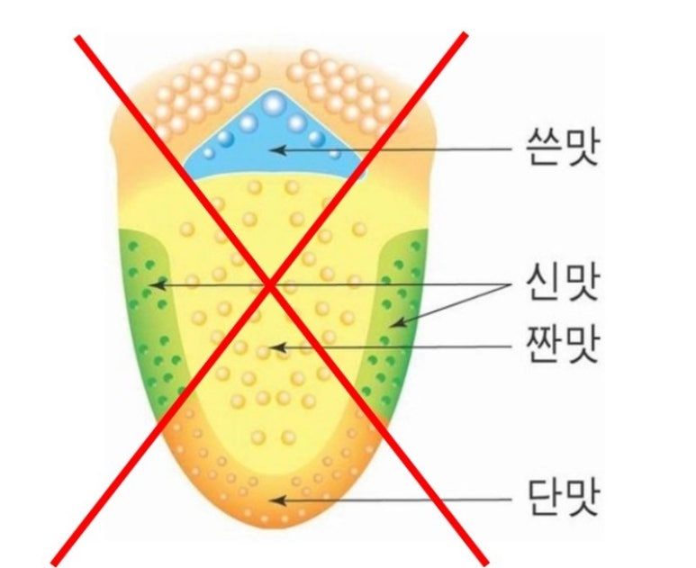 커피미각 이미지