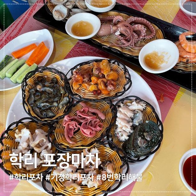 (주)백동소풍가는길 이미지