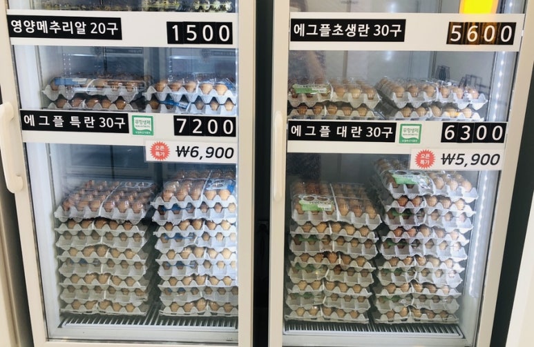 에그플 이미지