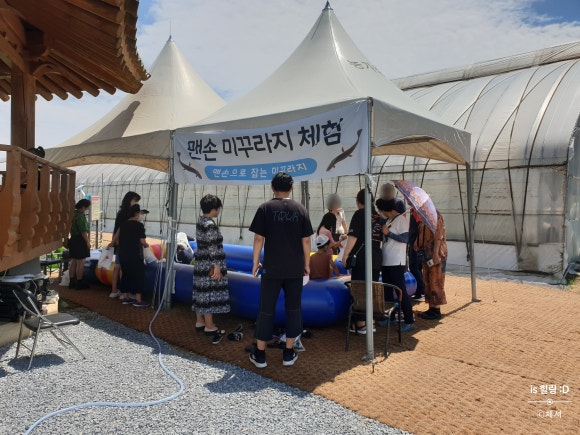 전통미꾸라지마을 이미지