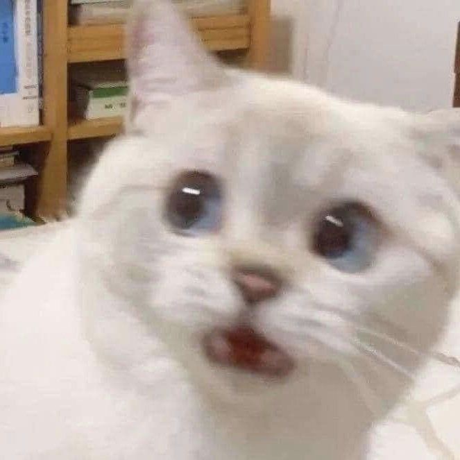 옴퓨 이미지