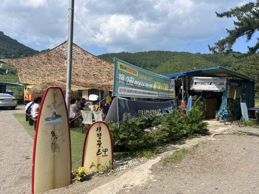 서핑쿠스 이미지