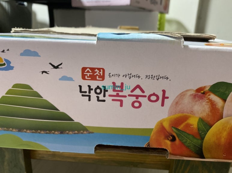 시온청과 이미지