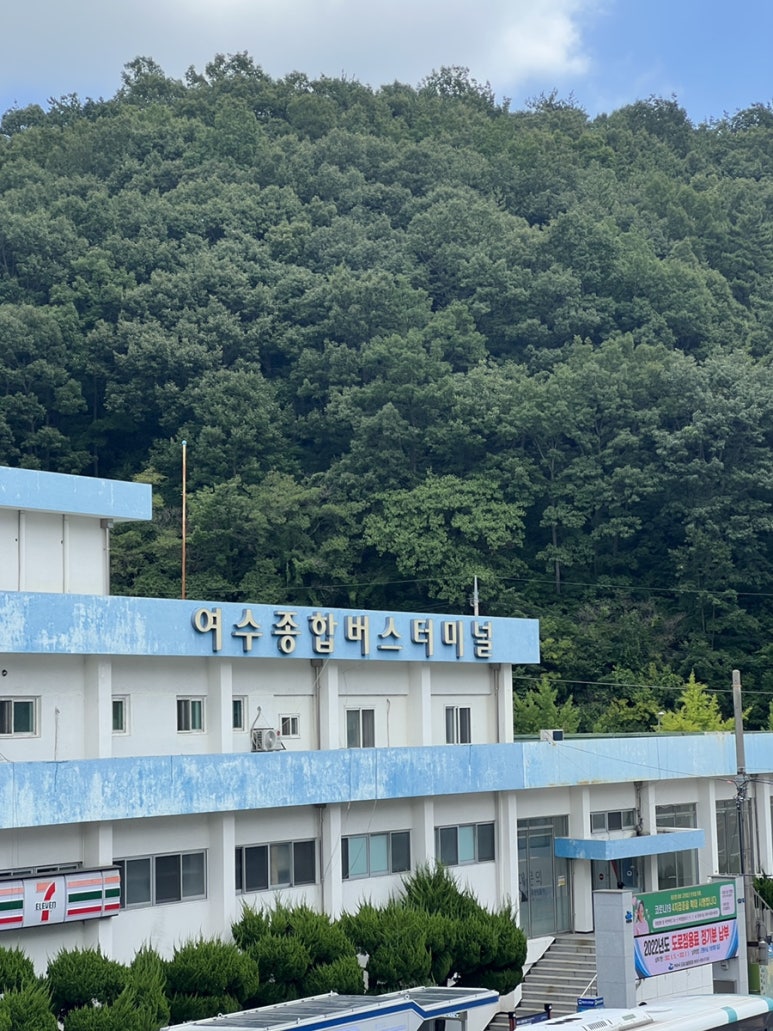 대음레코드 이미지