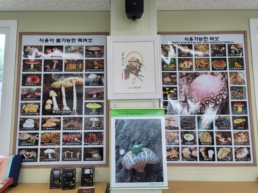 곰실농원체험장 이미지