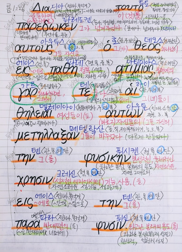 아우투스 이미지