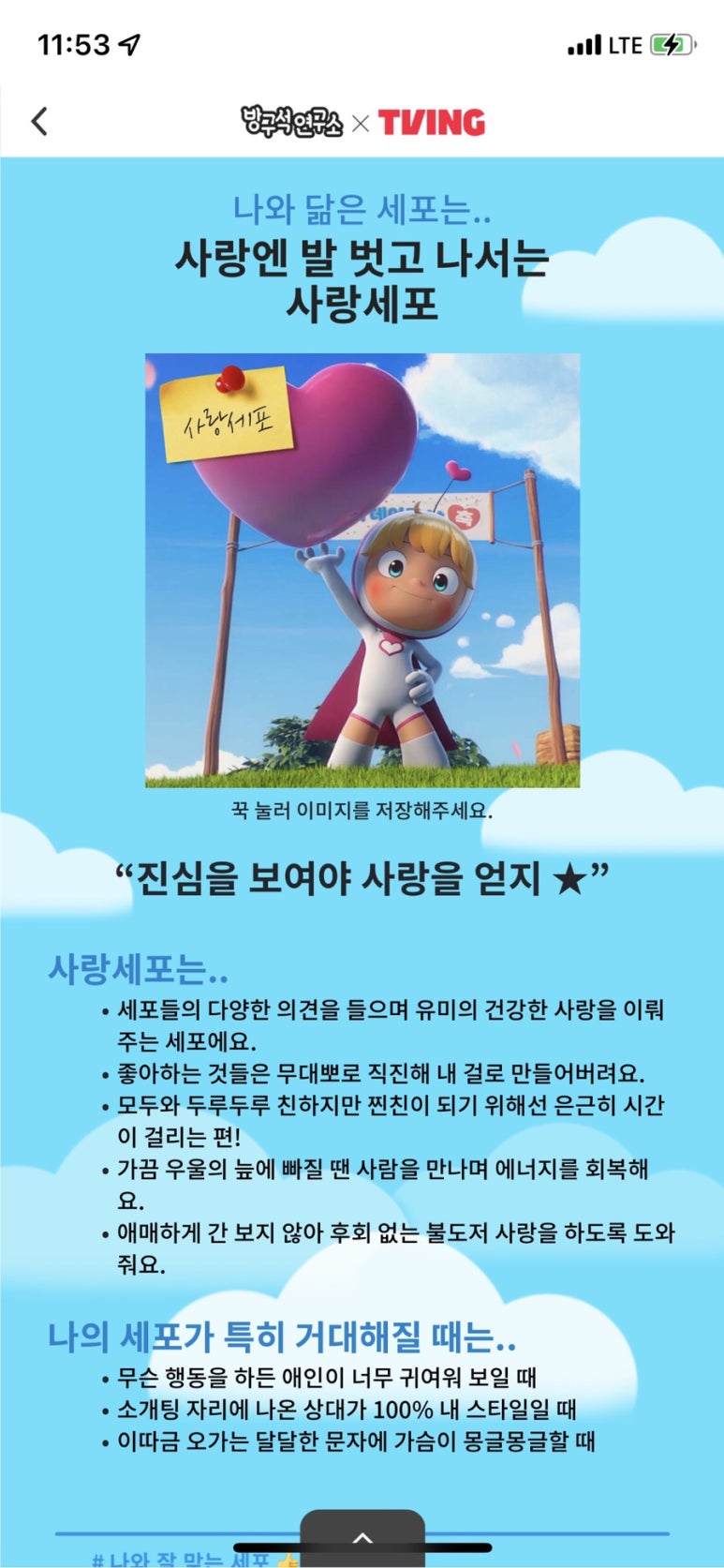오젯 이미지