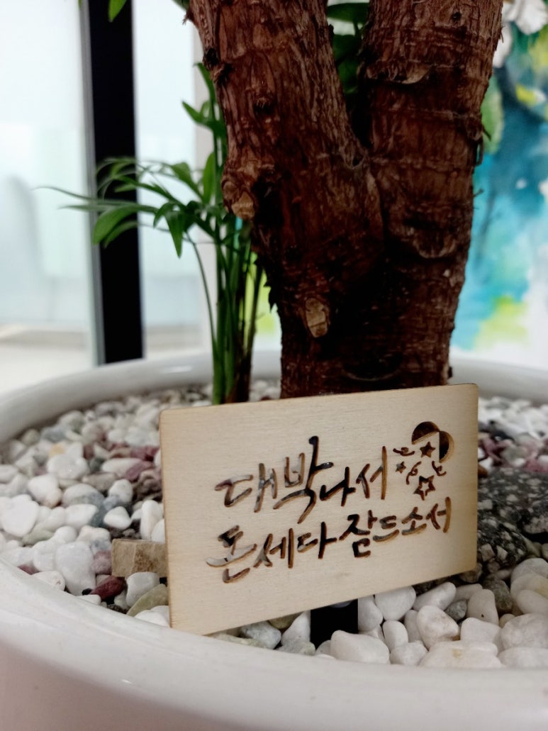 여선갤러리 이미지