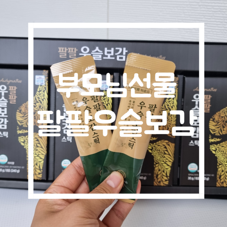 아리항 이미지