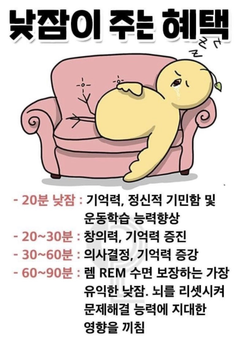 도도운수 이미지