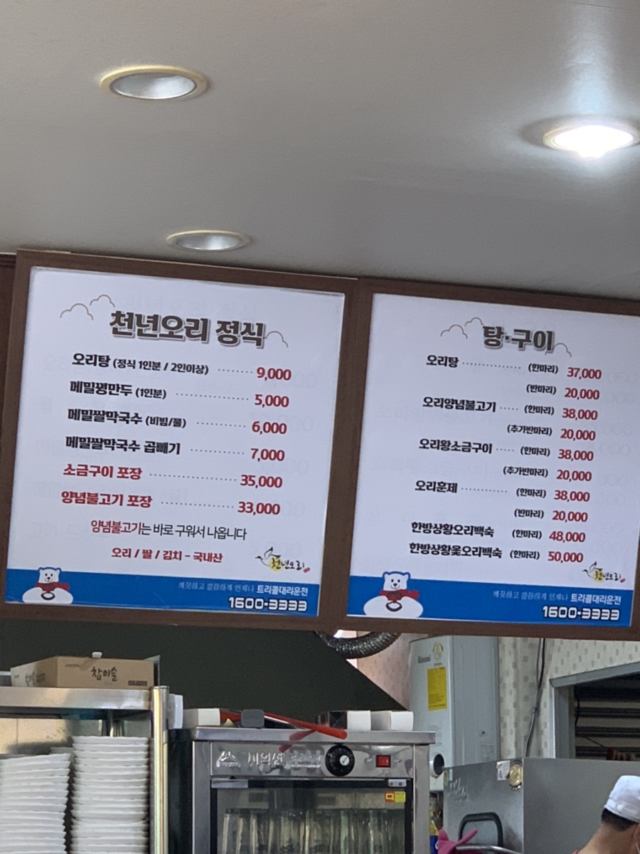 천년오리 이미지