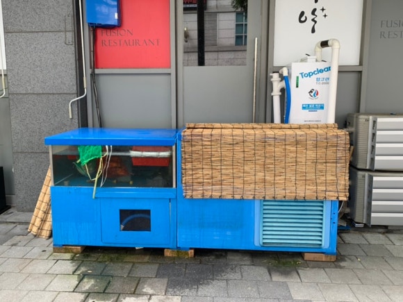 감미야영통점 대표 사진