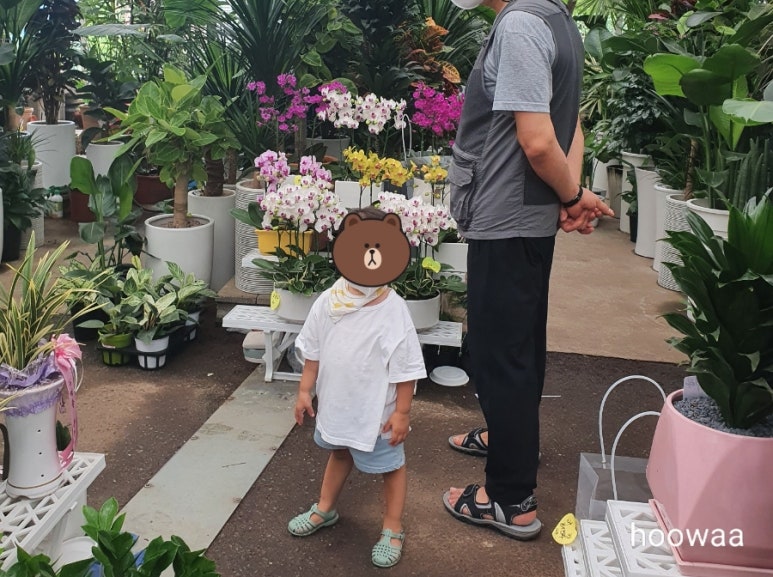 조내기고구마(주) 이미지