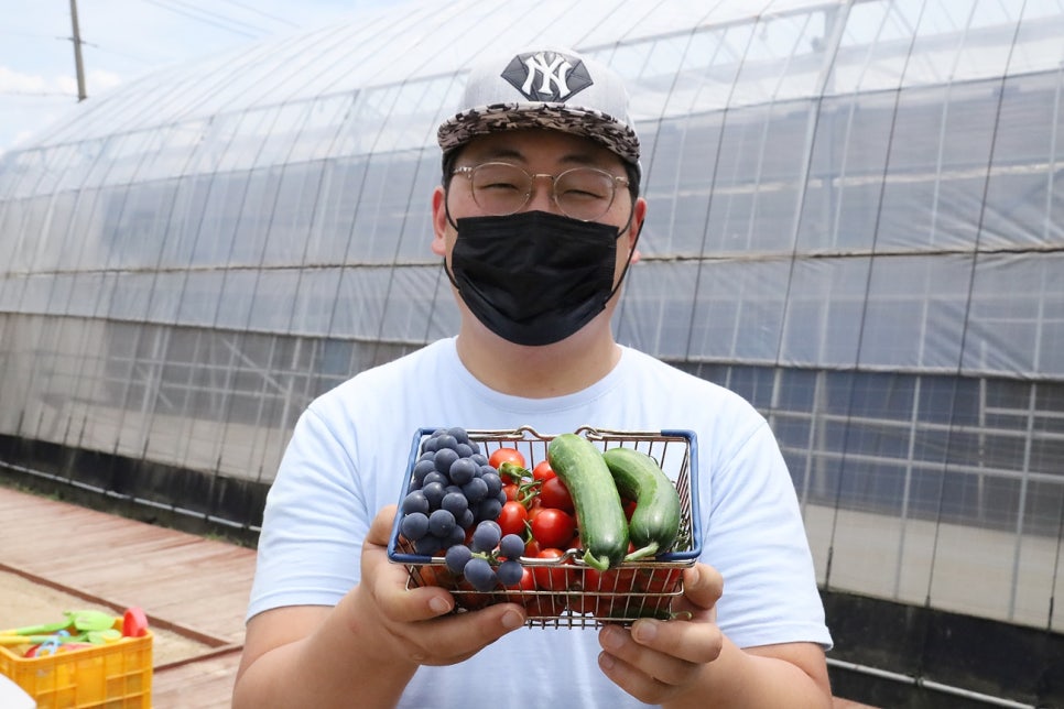 농부아빠팜 이미지