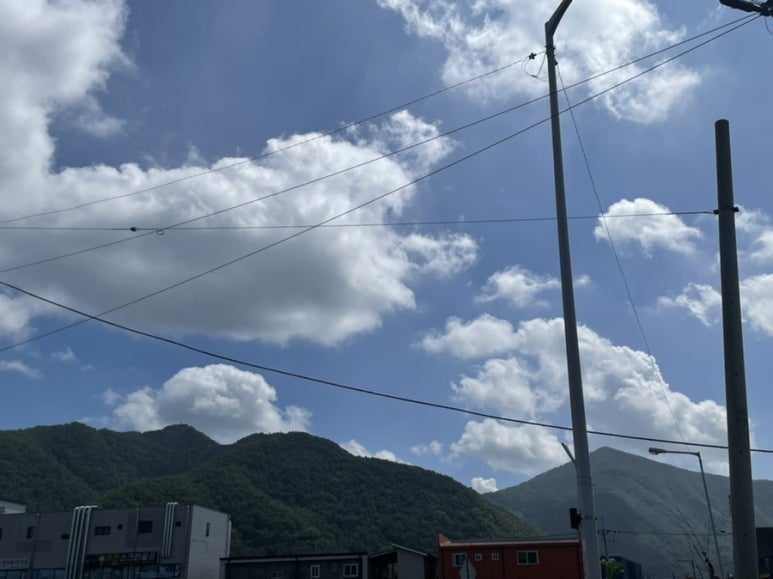 술샘막국수 이미지
