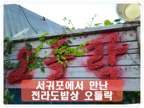 오들락 이미지