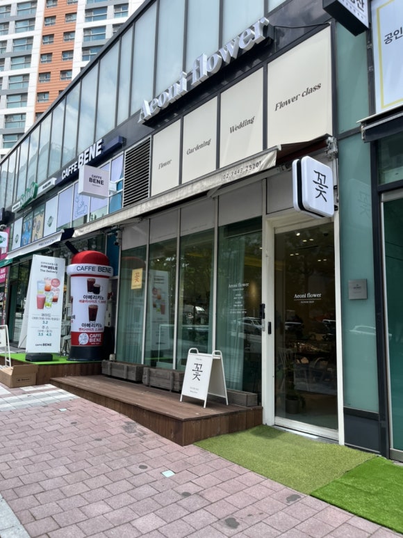 이오니플라워 이미지