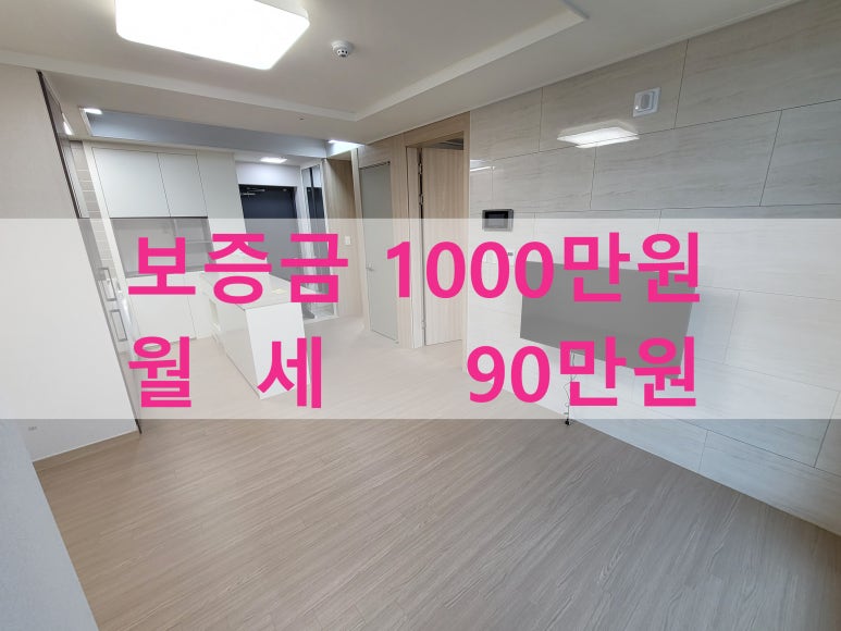 주식회사 라온베이 이미지