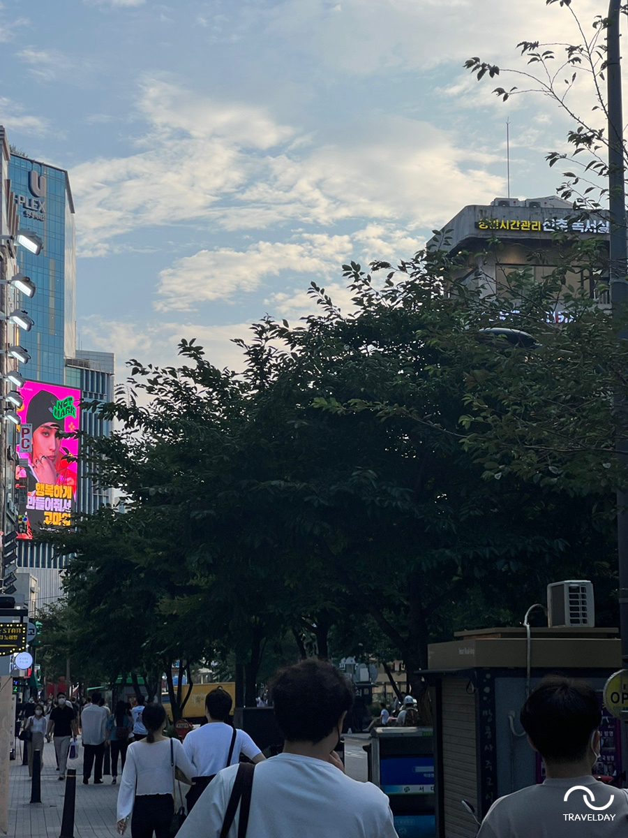 꼬숑돈카츠 이미지