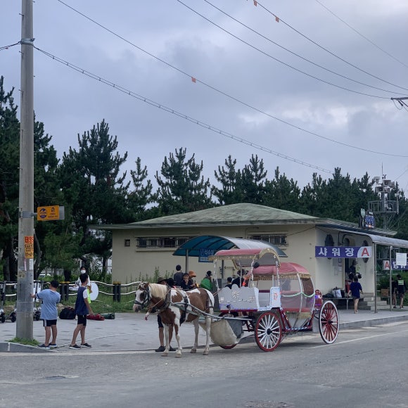 야옹수산 이미지