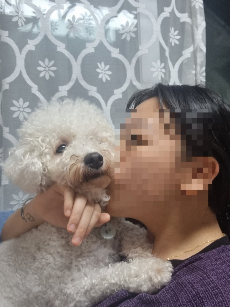 사랑해사랑해호프 이미지