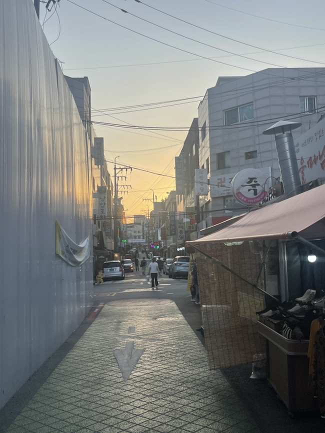 일신청과 이미지