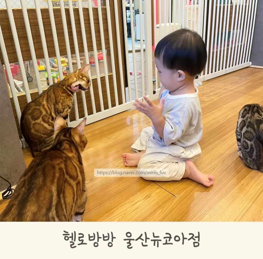 헬로방방뉴코아아울렛 이미지