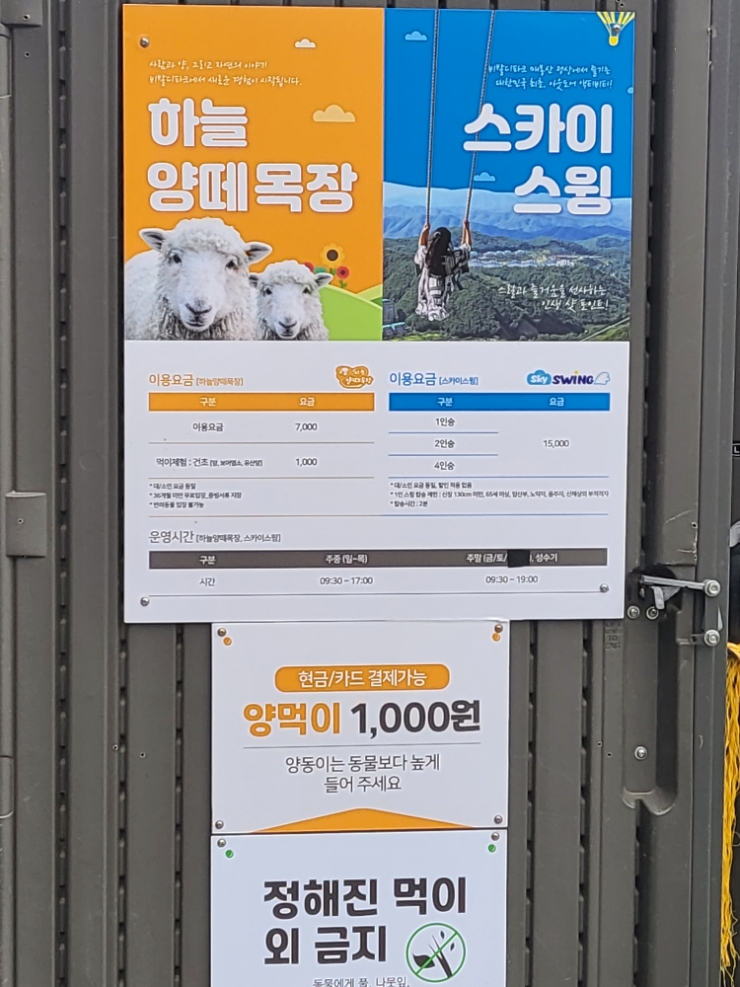 펠리체승마클럽 이미지