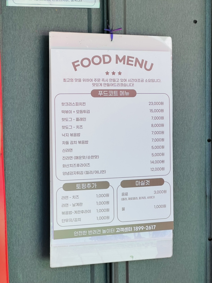 도그베이 서울점 강아지 수영장 비용 및 이용 후기 — 사진 14
