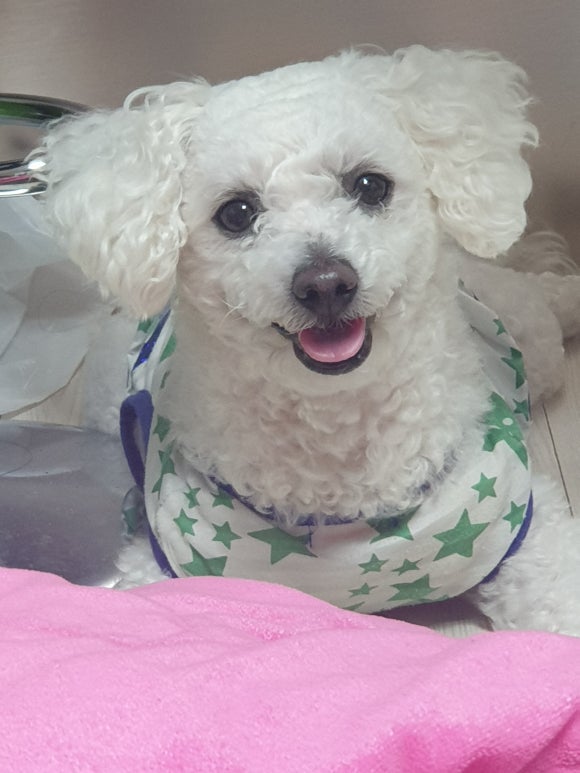 깜시네 이미지