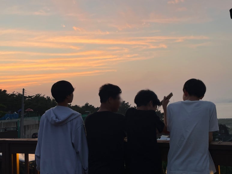 씨앗드림 이미지
