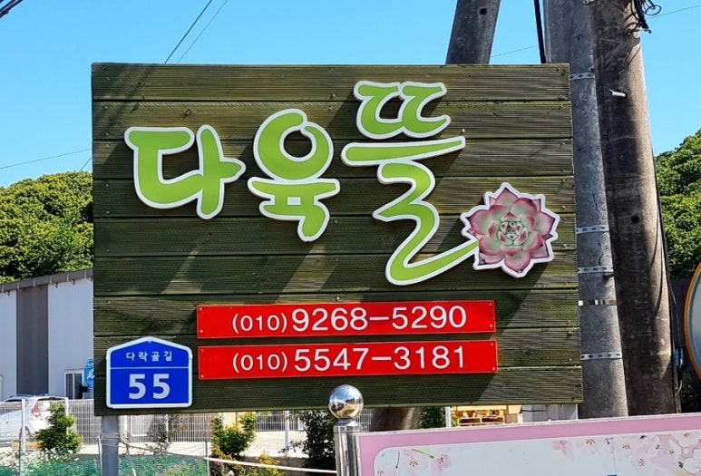 다육뜰 이미지