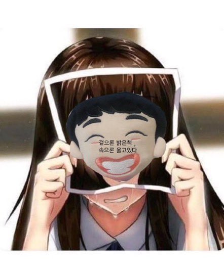 낭만고양이 이미지