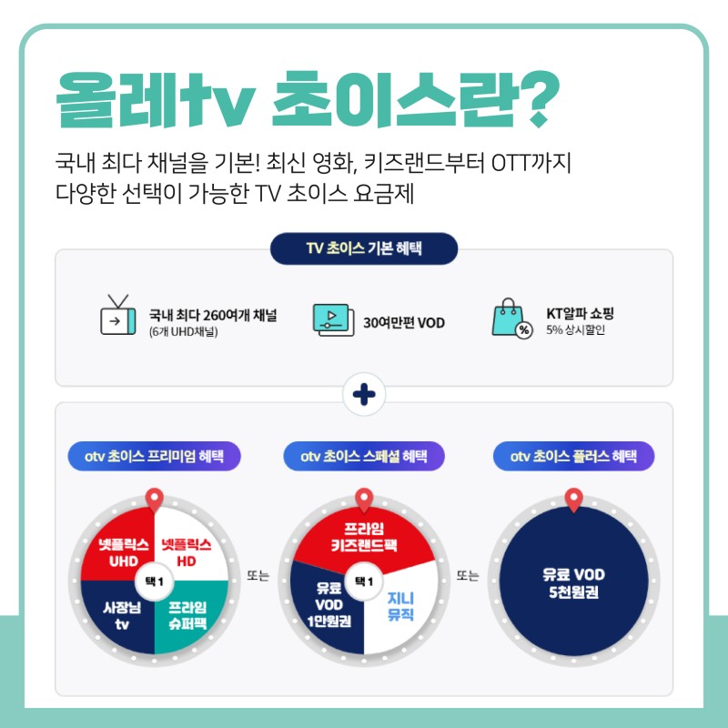 수키즈초이스 이미지